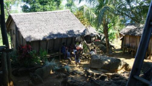 Ambalavelona : le ph&eacute;nom&egrave;ne contagieux qui inqui&egrave;te &agrave; Madagascar