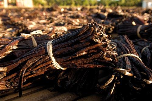 Madagascar peine &agrave; se relever de la crise de la vanille